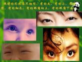 小學(xué)美術(shù)課件-第9課-亮眼睛-蘇少版-(17張PPT)ppt課件
