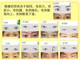 小學(xué)美術(shù)課件-第9課-亮眼睛-蘇少版-(21張PPT)ppt課件
