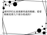 小學(xué)美術(shù)課件-第9課-亮眼睛-蘇少版-(42張PPT)ppt課件