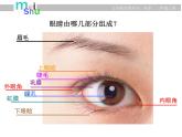 小學(xué)美術(shù)課件-第9課-亮眼睛-蘇少版-(20張PPT)ppt課件