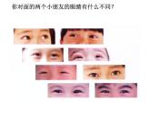 小學(xué)美術(shù)課件-第9課-亮眼睛-蘇少版-(20張PPT)ppt課件