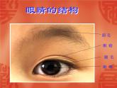 亮眼睛PPT課件免費下載