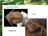 小學(xué)美術(shù)課件-第14課--遠(yuǎn)古的動(dòng)物朋友-蘇少版--(40張PPT)ppt課件