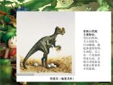小學(xué)美術(shù)課件-第14課--遠(yuǎn)古的動(dòng)物朋友-蘇少版-(15張PPT)ppt課件