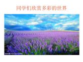 小學(xué)美術(shù)課件-第7課-我設(shè)計(jì)的動(dòng)漫形象-蘇少版-(13張PPT)ppt課件