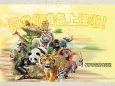 保護(hù)珍稀野生動(dòng)物PPT課件免費(fèi)下載