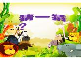 保護(hù)珍稀野生動(dòng)物PPT課件免費(fèi)下載