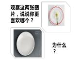 漂亮的花邊PPT課件免費下載