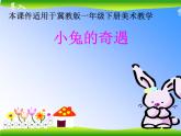 小兔的奇遇PPT课件免费下载