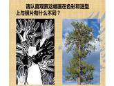 黑白裝飾畫六年級課件PPT