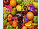 人教版小學(xué)美術(shù)二年級(jí)下冊(cè) 第11課 蔬果變變變  課件
