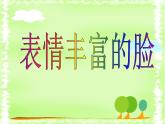 《表情豐富的臉》課件