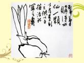 冀美版五年級(jí)上冊(cè)美術(shù)   12.學(xué)畫(huà)花卉課件PPT