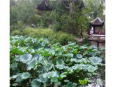 冀美版四年級上冊美術(shù)   多變的大自然課件PPT