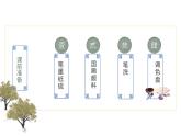 人教版小學(xué)美術(shù)五年級(jí)下冊(cè)第9課  寫意蔬果  課件