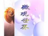 人教版小學(xué)美術(shù)五年級(jí)下冊(cè)第14課  微觀世界  課件