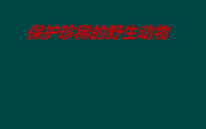 人教版小学美术三年级下册第19课  保护珍稀野生动物  课件101