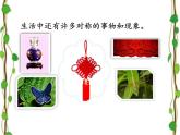 人教版五年級美術(shù)下冊  17 電腦美術(shù) 對稱圖形 課件