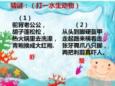 小学美术课件-13课-虾和蟹-苏少版-(14张PPT)ppt课件