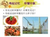 小学美术课件-13课-虾和蟹-苏少版-(14张PPT)ppt课件