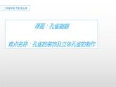 人教版二年級美術(shù)下冊   7.美麗的孔雀 課件