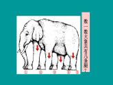 江蘇少年兒童出版社小學(xué)美術(shù)六年級(jí)下冊第16課   奇妙的圖形  課件