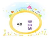 江蘇少年兒童出版社小學(xué)美術(shù)六年級下冊第15課   有生命的石頭  課件3