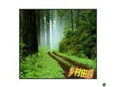 江蘇少年兒童出版社小學(xué)美術(shù)五年級下冊第4課  理想的居住環(huán)境 課件