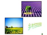 江蘇少年兒童出版社小學(xué)美術(shù)五年級下冊第4課  理想的居住環(huán)境 課件