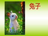 江蘇少年兒童出版社小學(xué)美術(shù)二年級(jí)下冊(cè)第4課  動(dòng)物朋友（一）   課件
