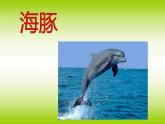 江蘇少年兒童出版社小學(xué)美術(shù)二年級(jí)下冊(cè)第4課  動(dòng)物朋友（一）   課件