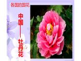 江蘇少年兒童出版社小學(xué)美術(shù)二年級(jí)下冊第13課  會(huì)變的花、樹、葉   課件