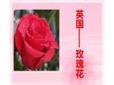 江蘇少年兒童出版社小學(xué)美術(shù)二年級(jí)下冊第13課  會(huì)變的花、樹、葉   課件