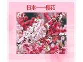 江蘇少年兒童出版社小學(xué)美術(shù)二年級(jí)下冊第13課  會(huì)變的花、樹、葉   課件