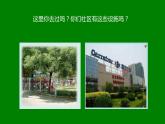 冀美版小學美術(shù)六年級下冊第14課  我為社區(qū)做規(guī)劃  課件
