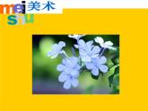 (苏少版)六年级美术上册课件-爸爸妈妈-1
