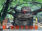 美術(shù)二年級上嶺南版3.8給樹爺爺畫像課件-(29張)1