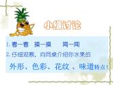 美術(shù)二年級(jí)下嶺南版3.6水果大聚會(huì)課件(18張)