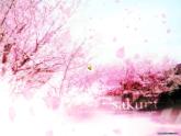 美术二年级下人教版9《漂亮的花边》课件4