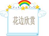 美术二年级下人教版9漂亮的花边课件(29张)1