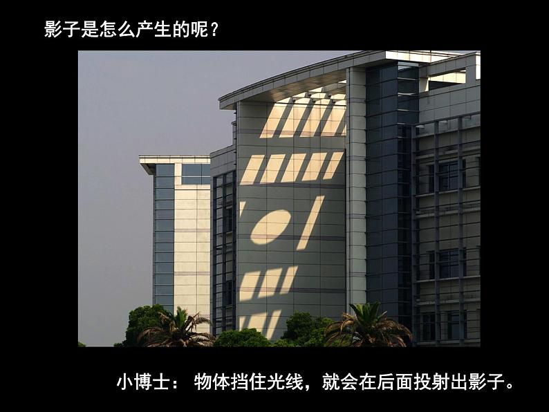 美术二年级下岭南版3.9我们的影子课件第5页