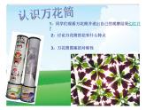 美术三年级上人教版2万花筒课件(24张)