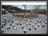 美術(shù)三年級(jí)上人教版6.黑與白課件(22張)