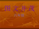 美术六年级下人教新课标6图文并茂课件5