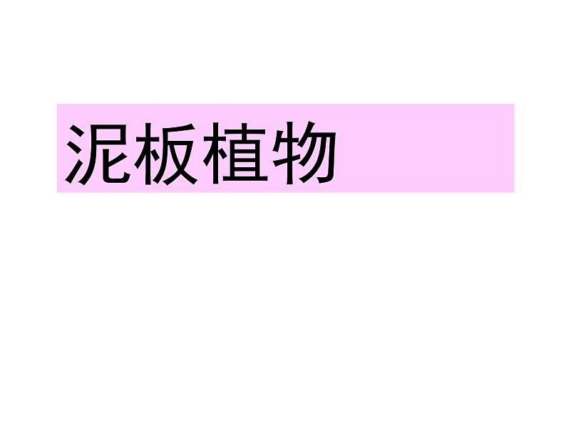 美术四年级上岭南版2.3泥板植物课件(19张)第4页