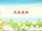 美術(shù)四年級(jí)上嶺南版2.3泥板植物課件(21張)