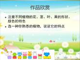 美術(shù)四年級(jí)上嶺南版2.3泥板植物課件(21張)