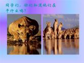 美術(shù)四年級下人美版5生命之源——水課件(24張)