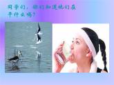 美術(shù)四年級下人美版5生命之源——水課件(24張)