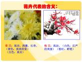 美術(shù)五年級上嶺南版2.6印出美麗的瓶花課件